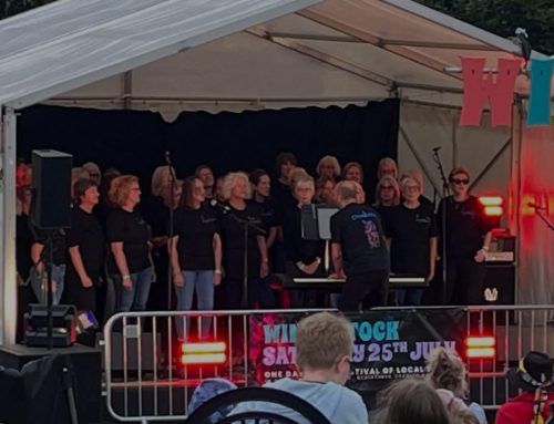 Chordiality at Windystock 2026